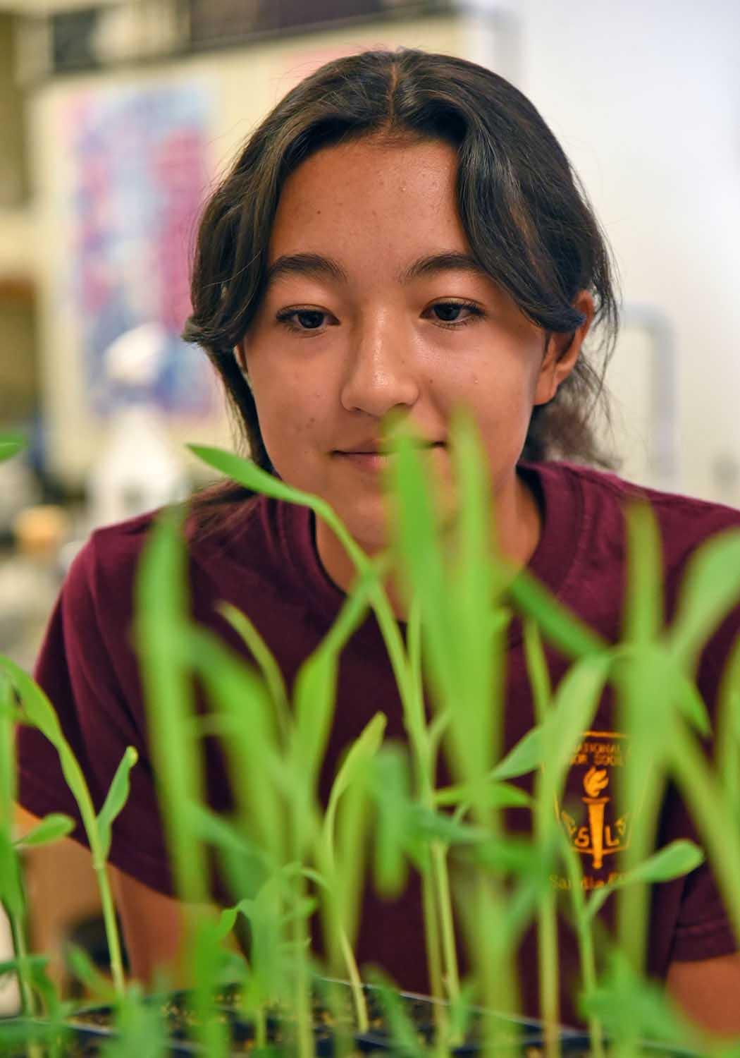 Student studies grass in science lab 