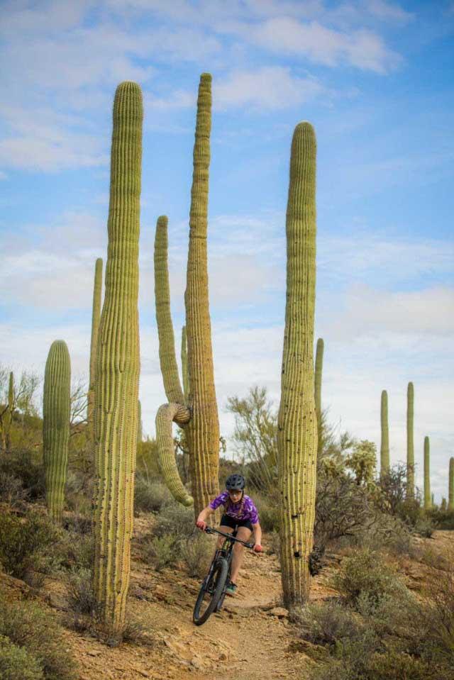 Jane English racing through saguaro cactus in Arizona